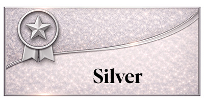 Silver sponsor